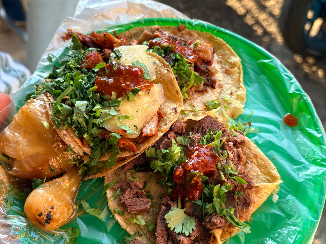 Eat Like a Local Mexico-墨西哥城必去景点