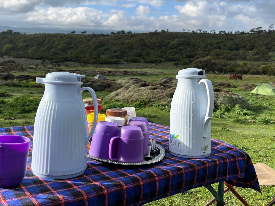 Bale Mountains Brilliant Tours-Goba必去景点