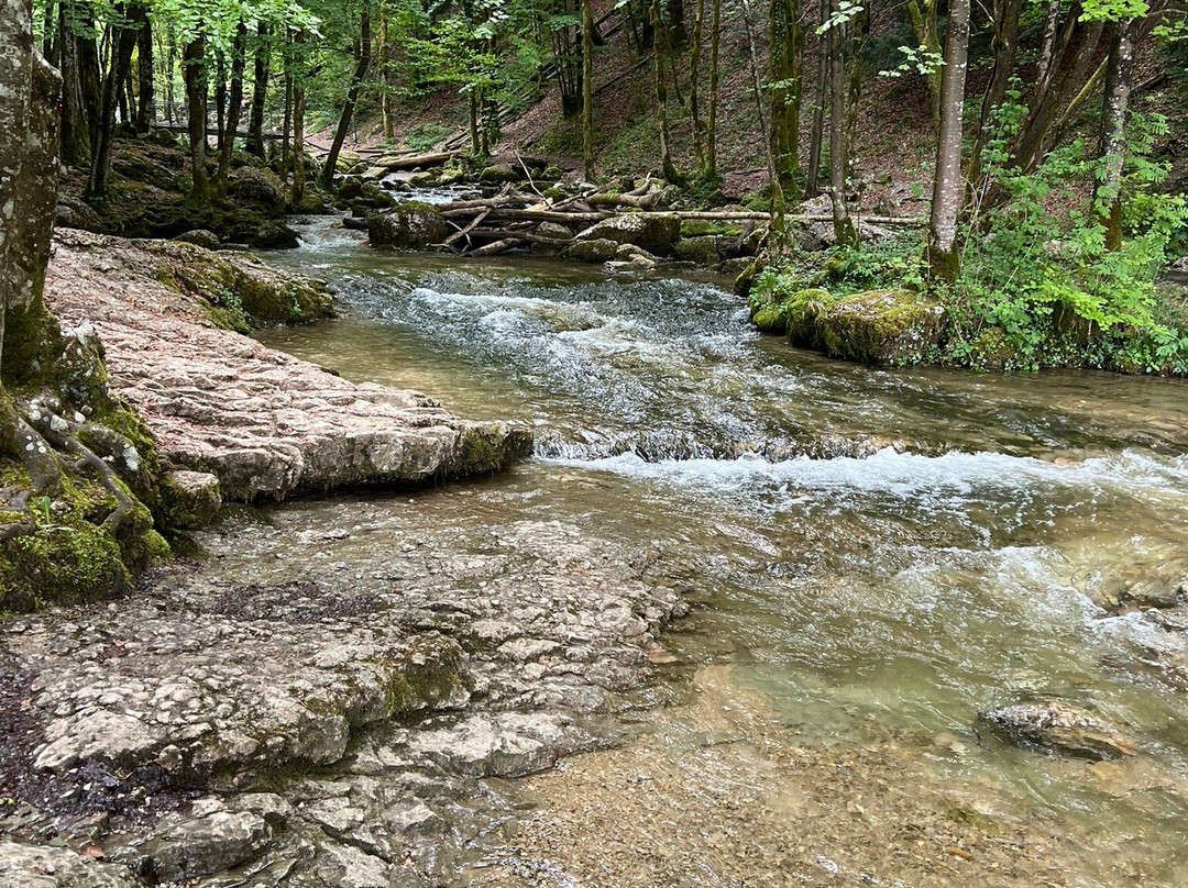Les Cascades du Herisson-Menetrux-en-Joux必去景点