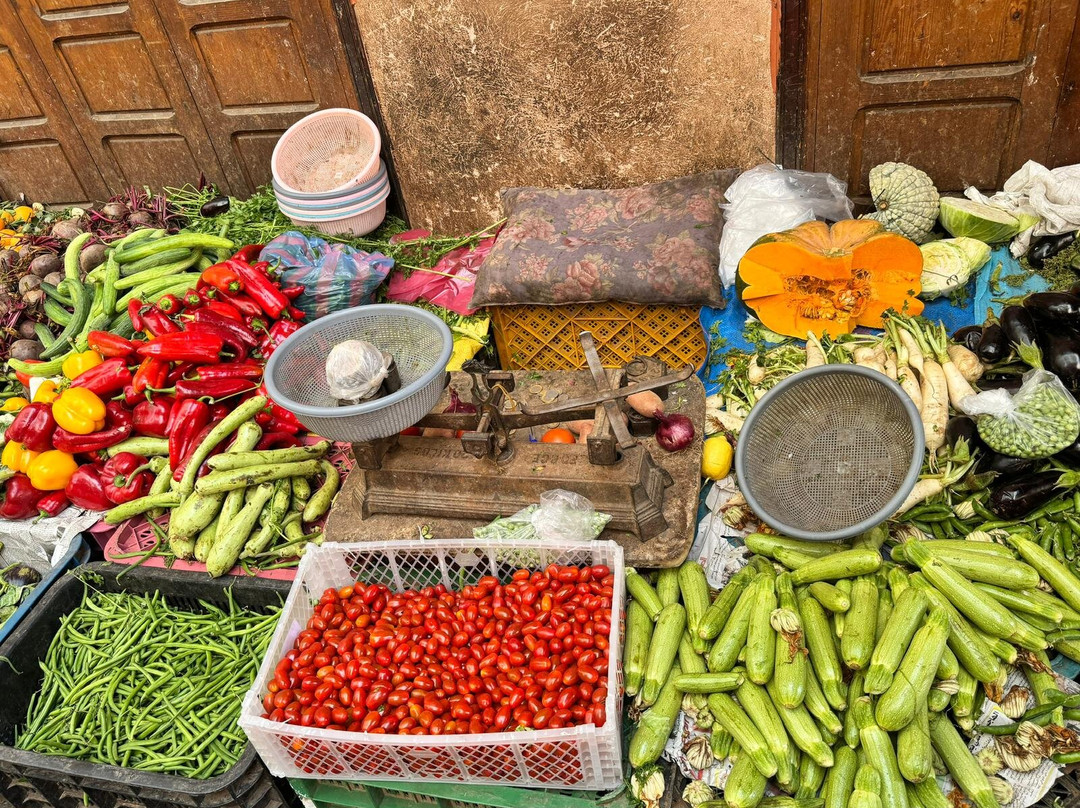 Tours in Marrakech-马拉喀什必去景点