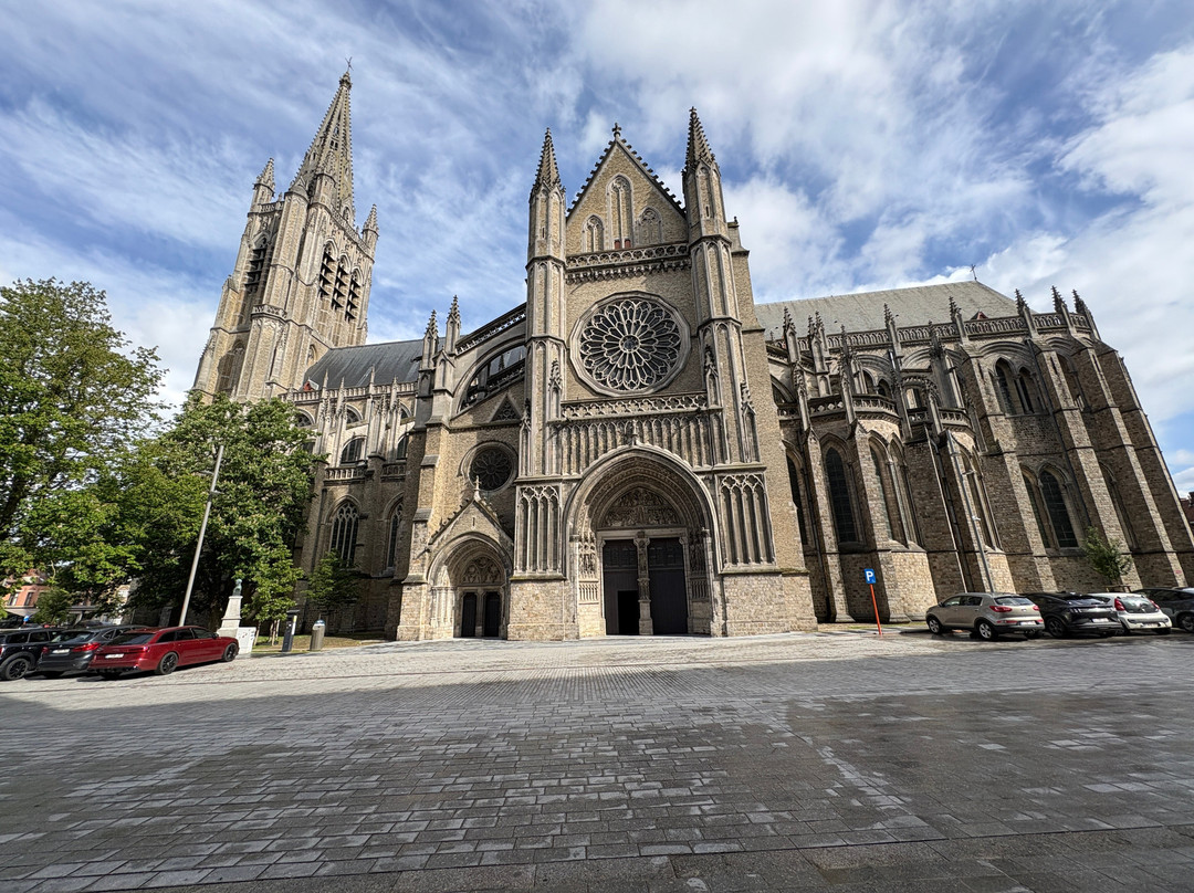 Saint Martin's Cathedral-伊普尔必去景点