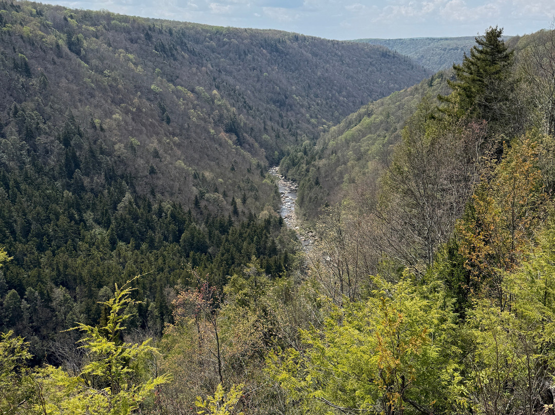 Blackwater Falls State Park-戴维斯必去景点