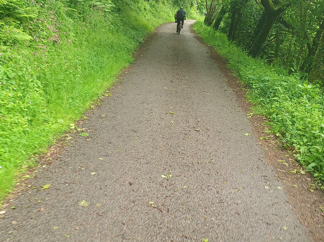 The Camel Trail-Wadebridge必去景点