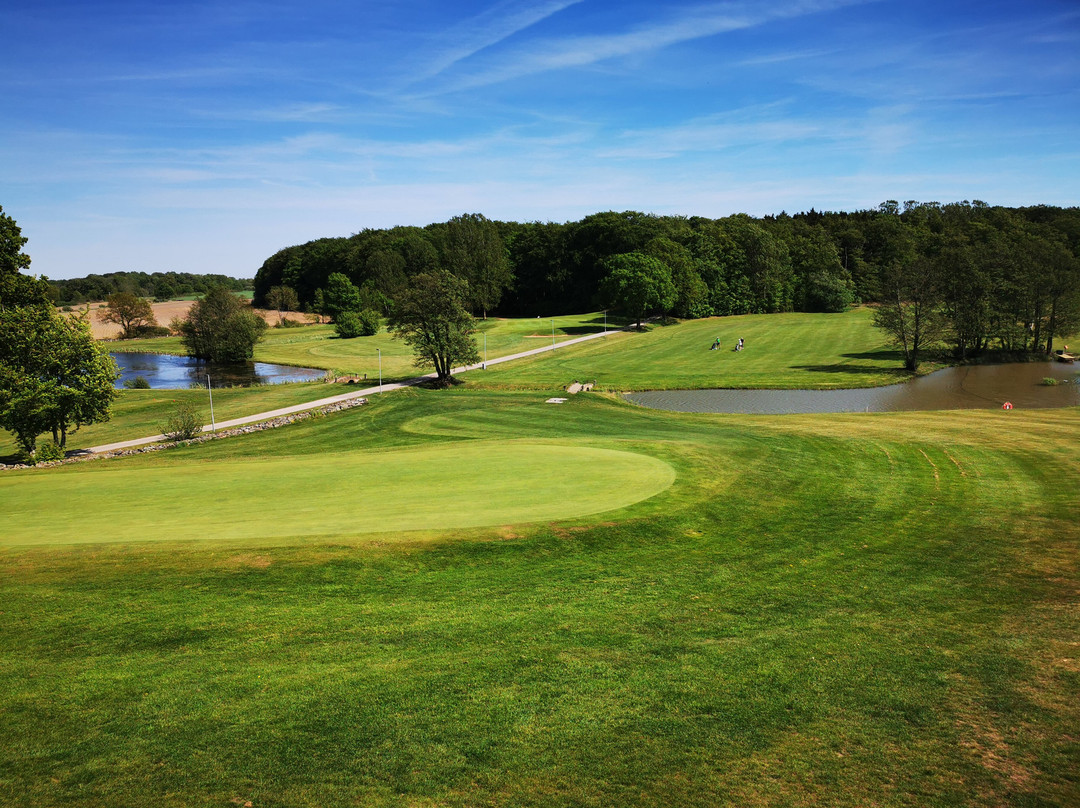 Möre Golfkrog