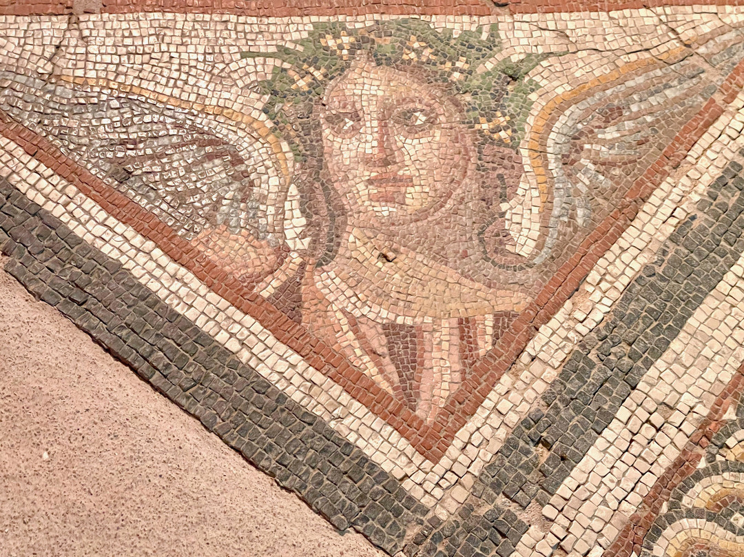 New Archaeological Museum Mytilene-米蒂利尼必去景点
