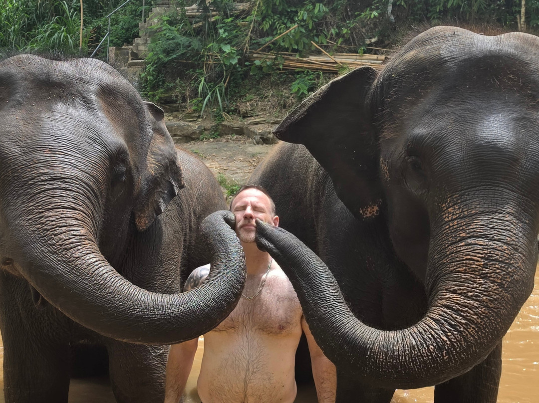 Chiang Mai Elephant Friends-夜旺必去景点
