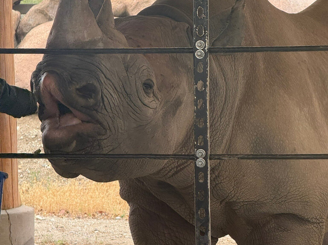 The Living Desert Zoo and Gardens-棕榈沙漠必去景点