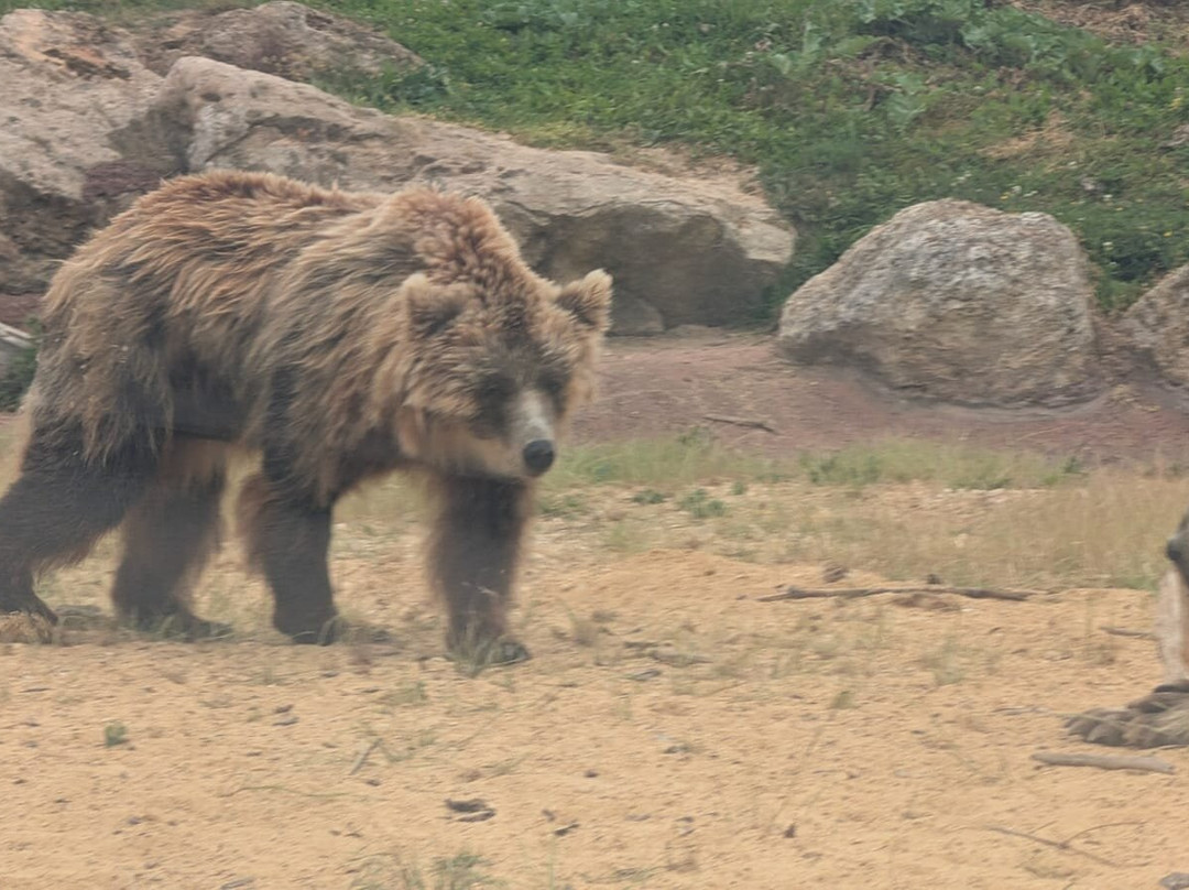 La Tanière - Zoo Refuge-Nogent-le-Phaye必去景点