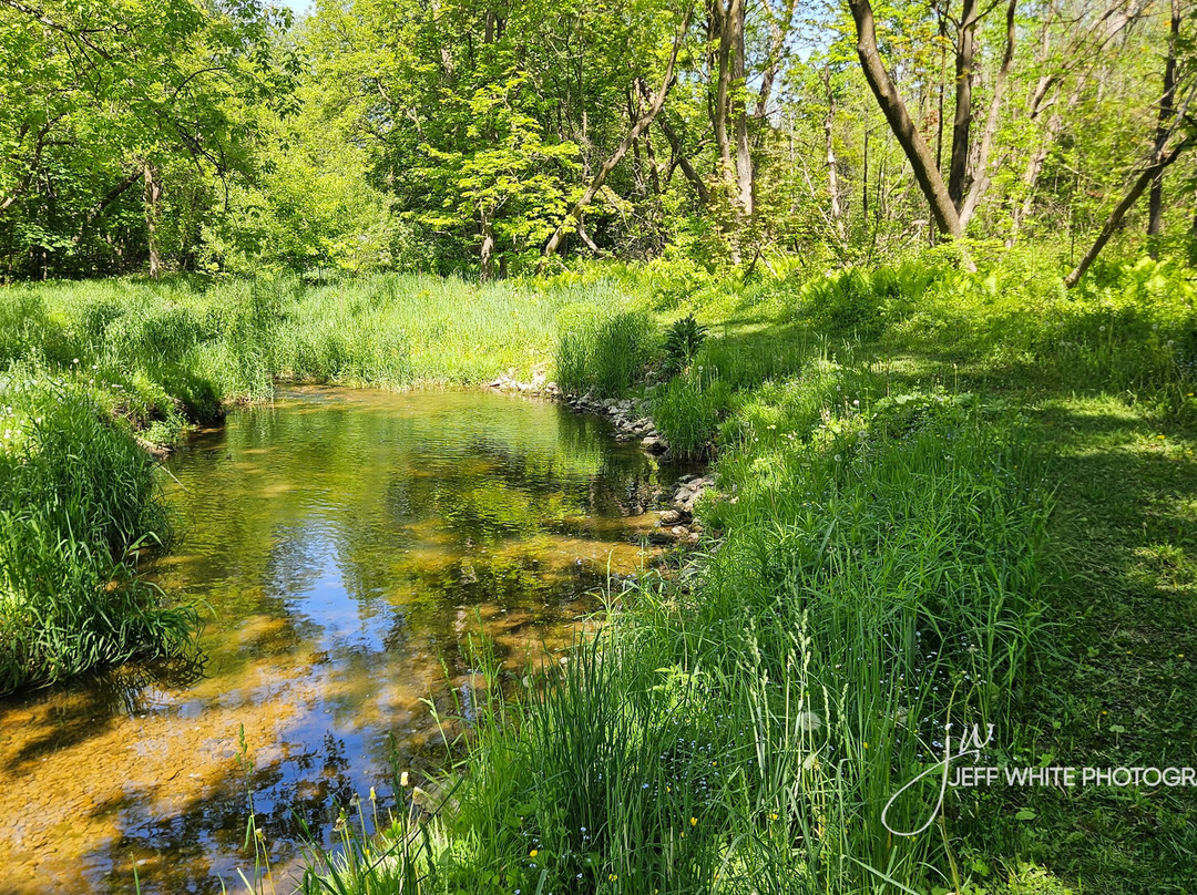 Centennial/Kinsmen Park-Stayner必去景点