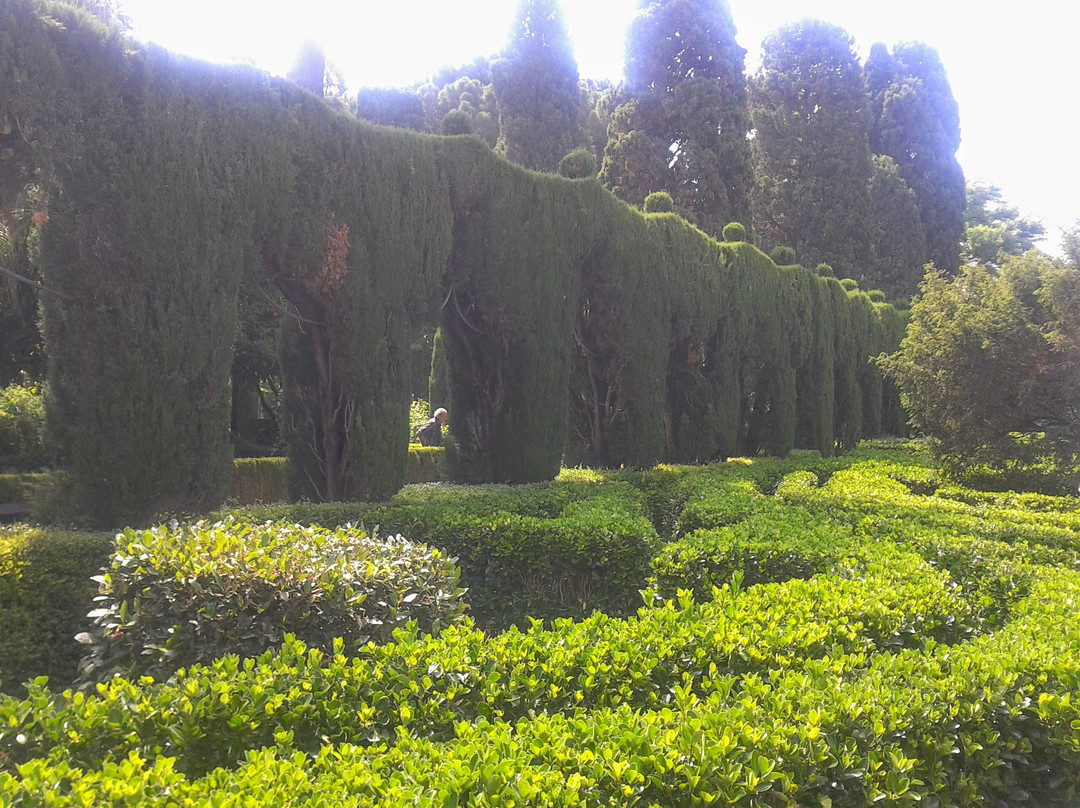Jardí de Monfort-巴伦西亚必去景点