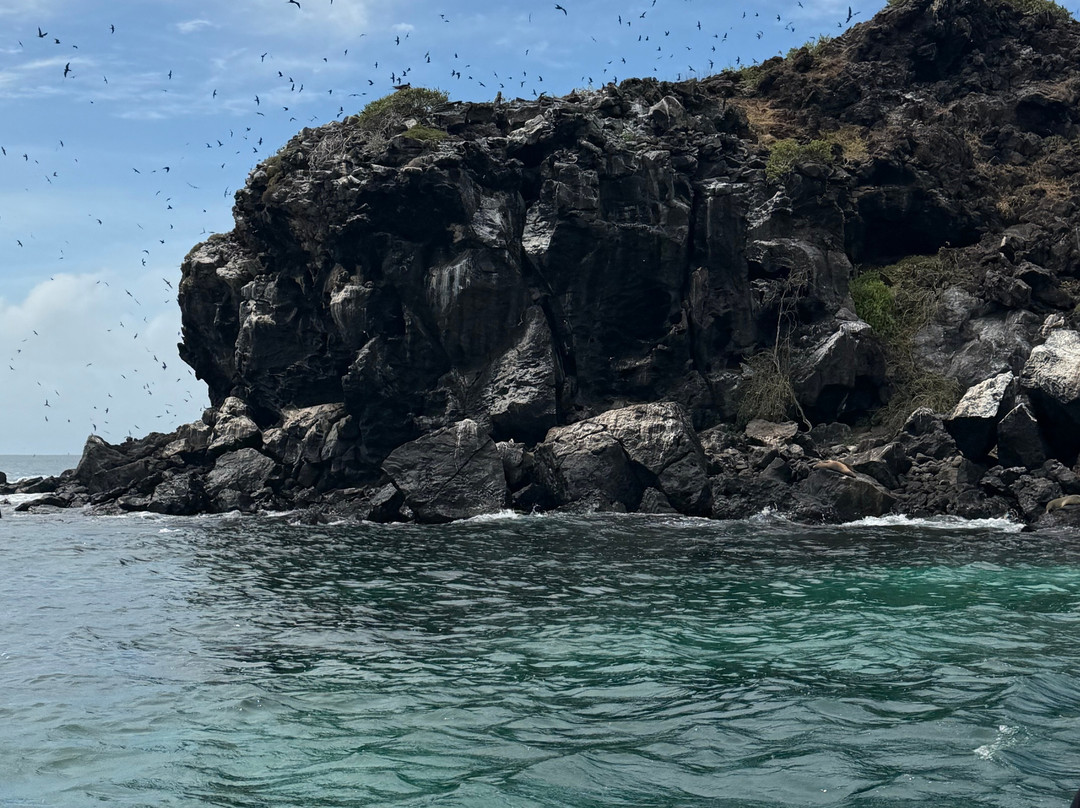 Eco-Challenger Galapagos Tour Agency-圣克里斯托瓦尔必去景点