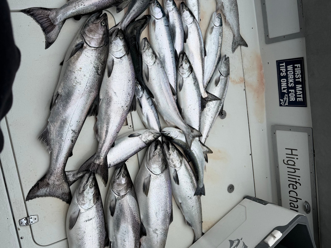 High Life Charter Fishing