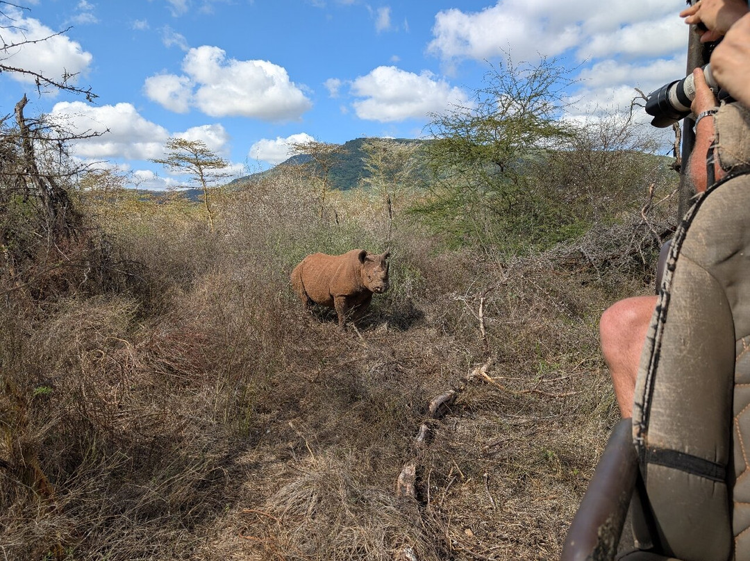 Mkomazi National Park-Gonja必去景点
