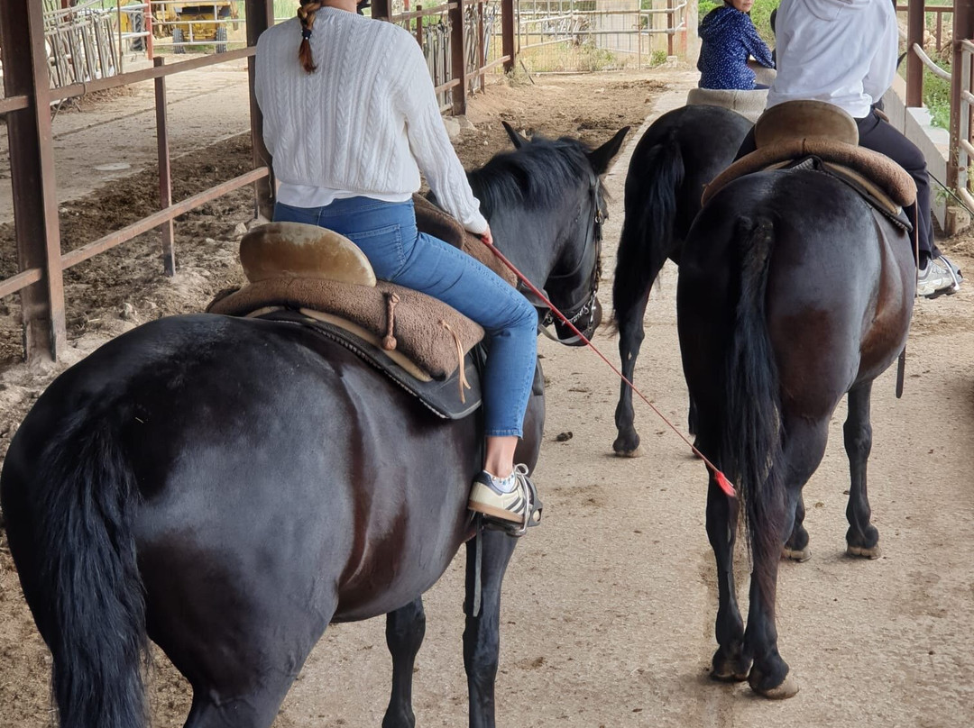 Rutas Equestres Menorca-休达德亚必去景点