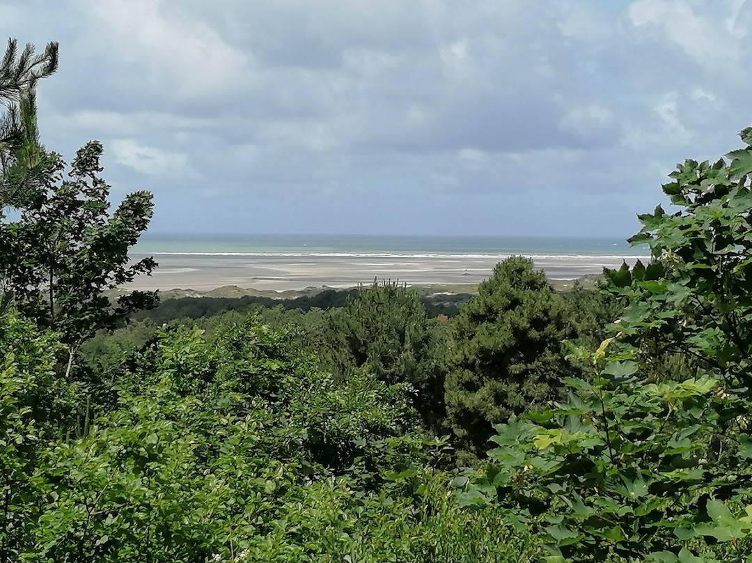 Reserve naturelle nationale de la baie de Canche-Camiers必去景点