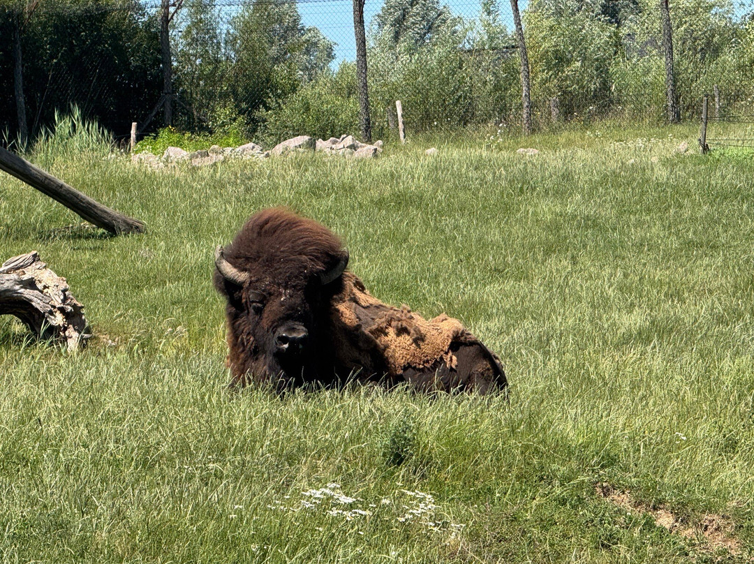 Parc Animalier De Sainte-croix-Rhodes必去景点