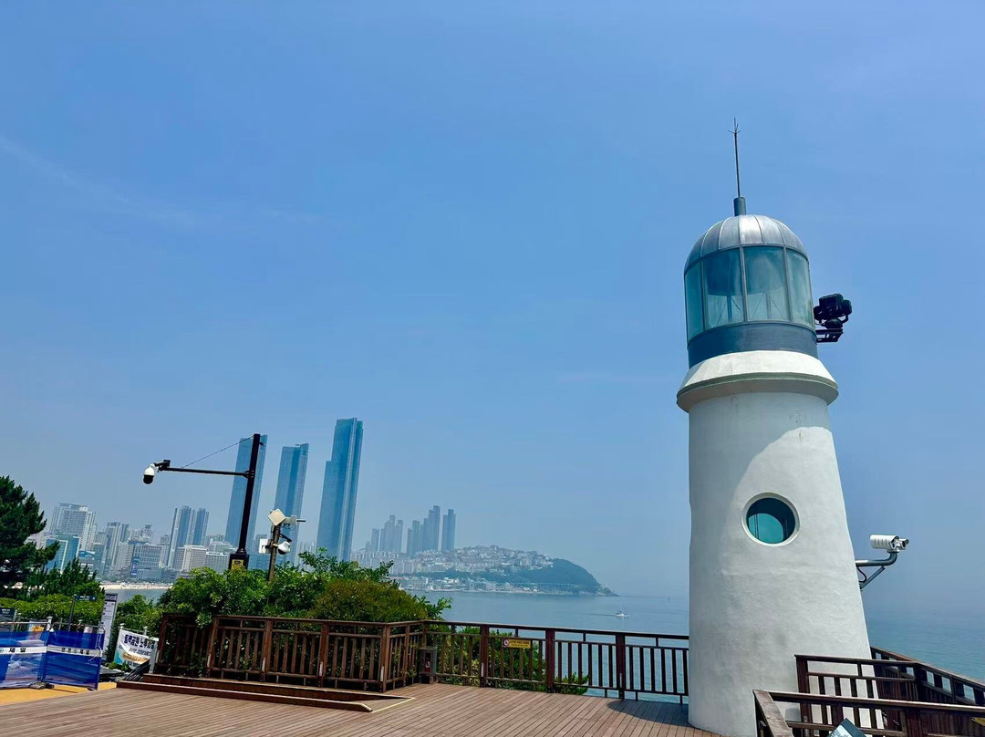 Dongbaekseom-釜山必去景点