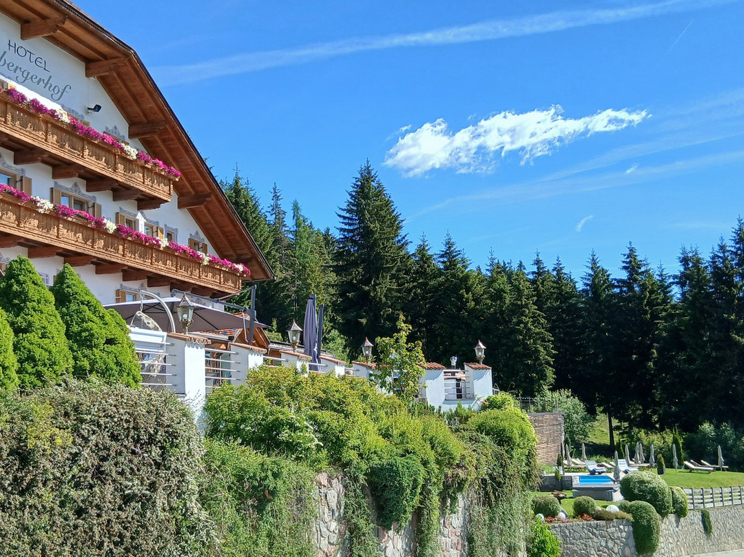 大全景健康酒店Sambergerhof主图
