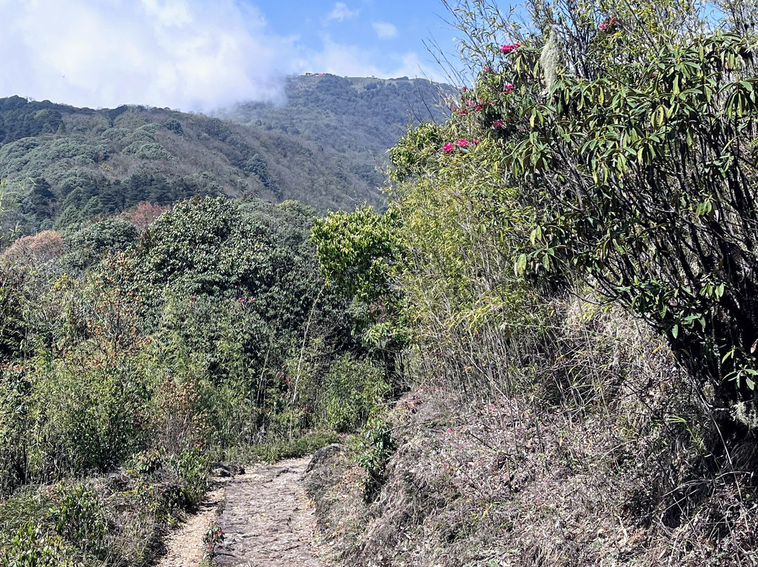 Tonglu-Singalila National Park必去景点