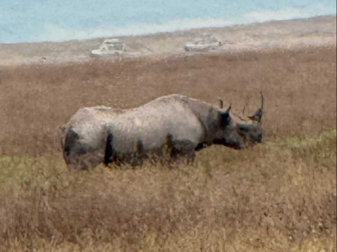 Nasikia Safaris-阿鲁沙必去景点
