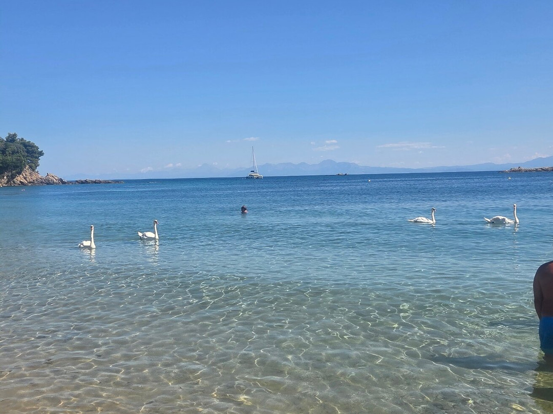 Mandraki Beach-Hydra必去景点
