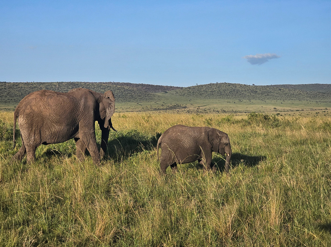 Super Africa Wildlife And Adventure Safaris-Kisii必去景点