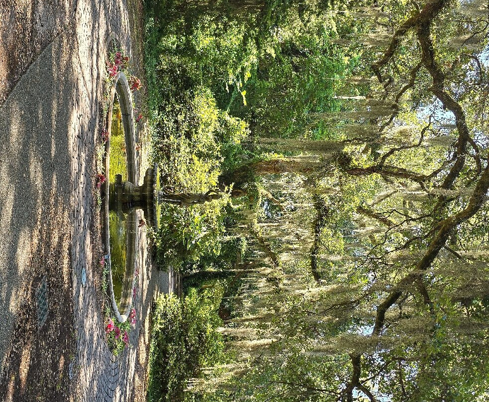 Airlie Gardens-威尔明顿必去景点