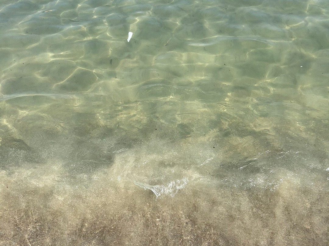 Palma Nova Beach-Palmanova必去景点