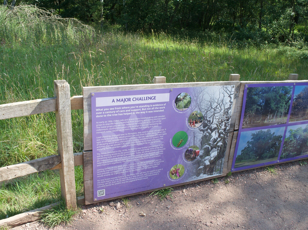 Sherwood Forest Visitor Centre-Edwinstowe必去景点