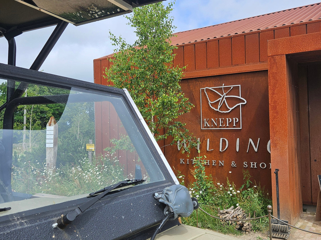 Knepp Wildland Safaris-霍舍姆必去景点