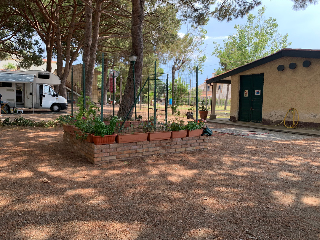 Camping Lido dei Pini