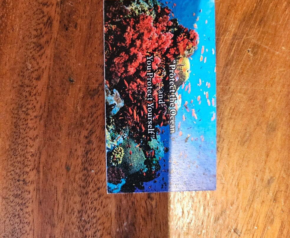 Jean-Michel Cousteau Diving-萨武萨武必去景点