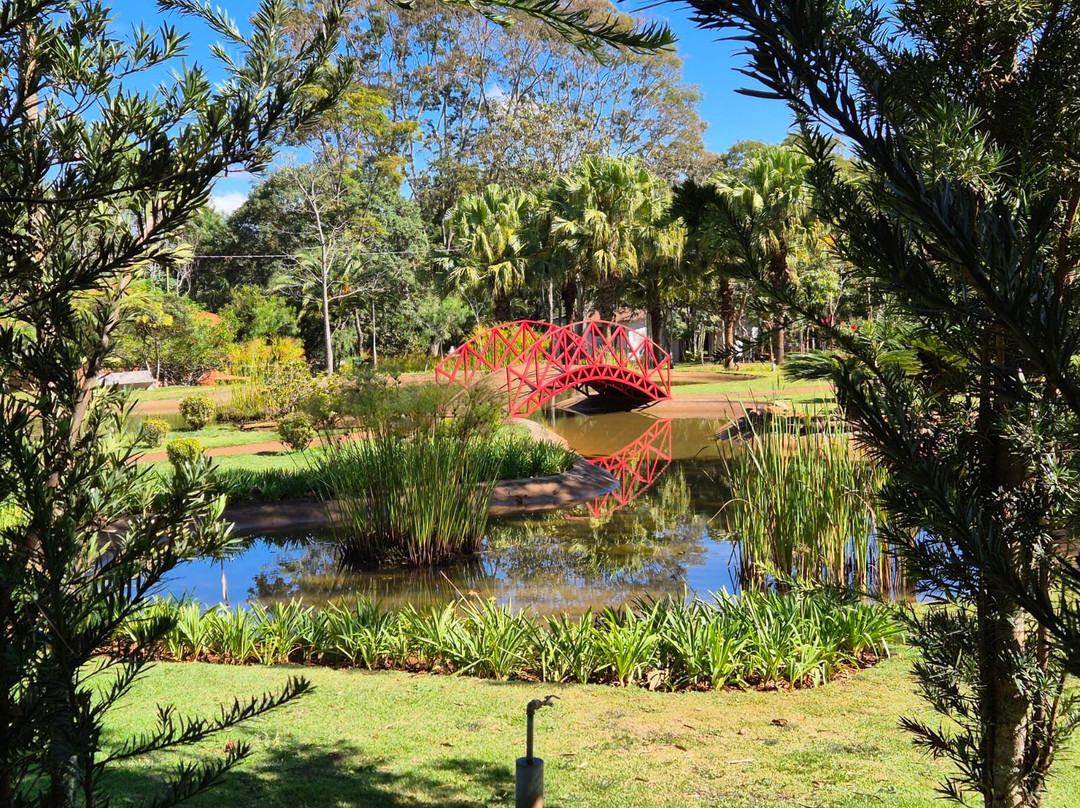 Jardim Botânico de Brasília-巴西利亚必去景点