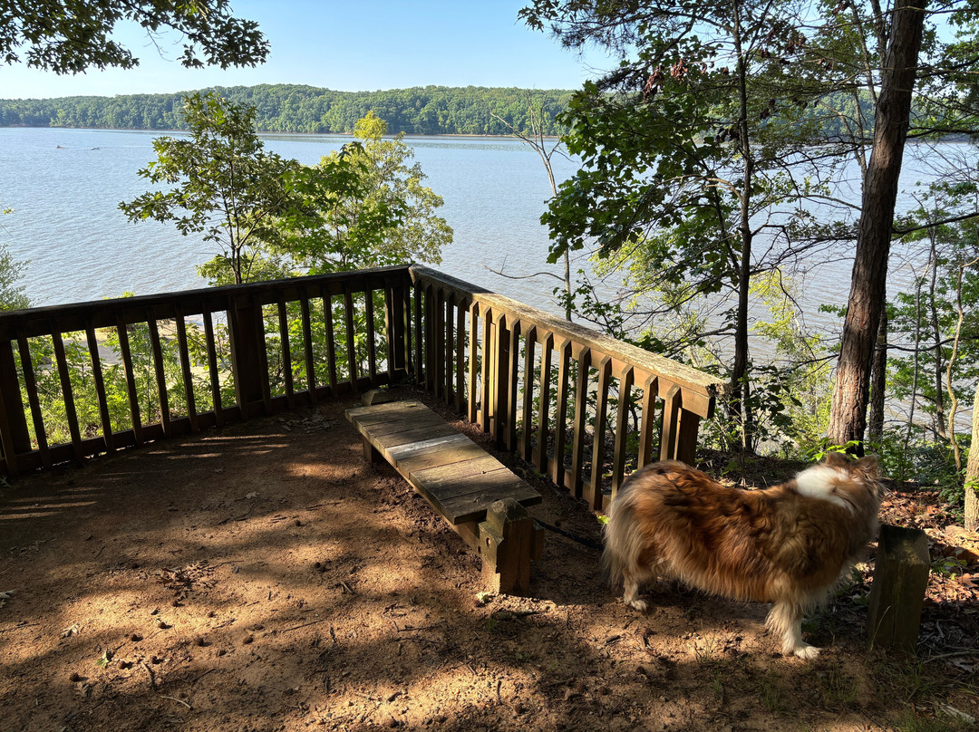 Staunton River State Park-Scottsburg必去景点