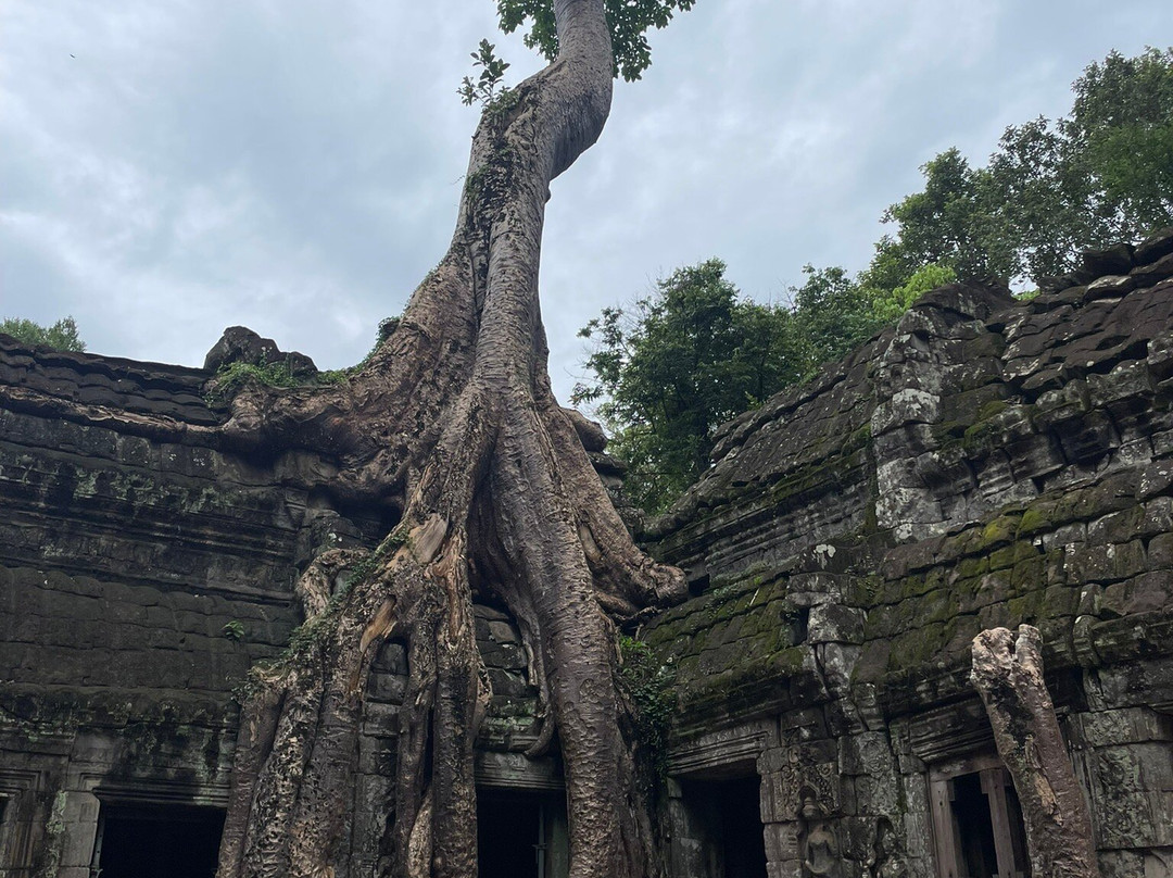 Mr Seng - Siem Reap Private Car Driver-暹粒必去景点
