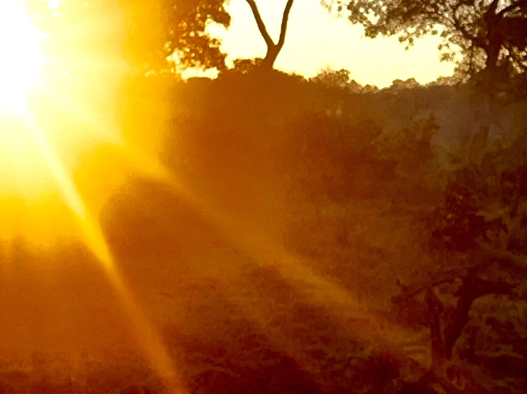 Moremi Wildlife Reserve-莫雷米野生动物保护区必去景点