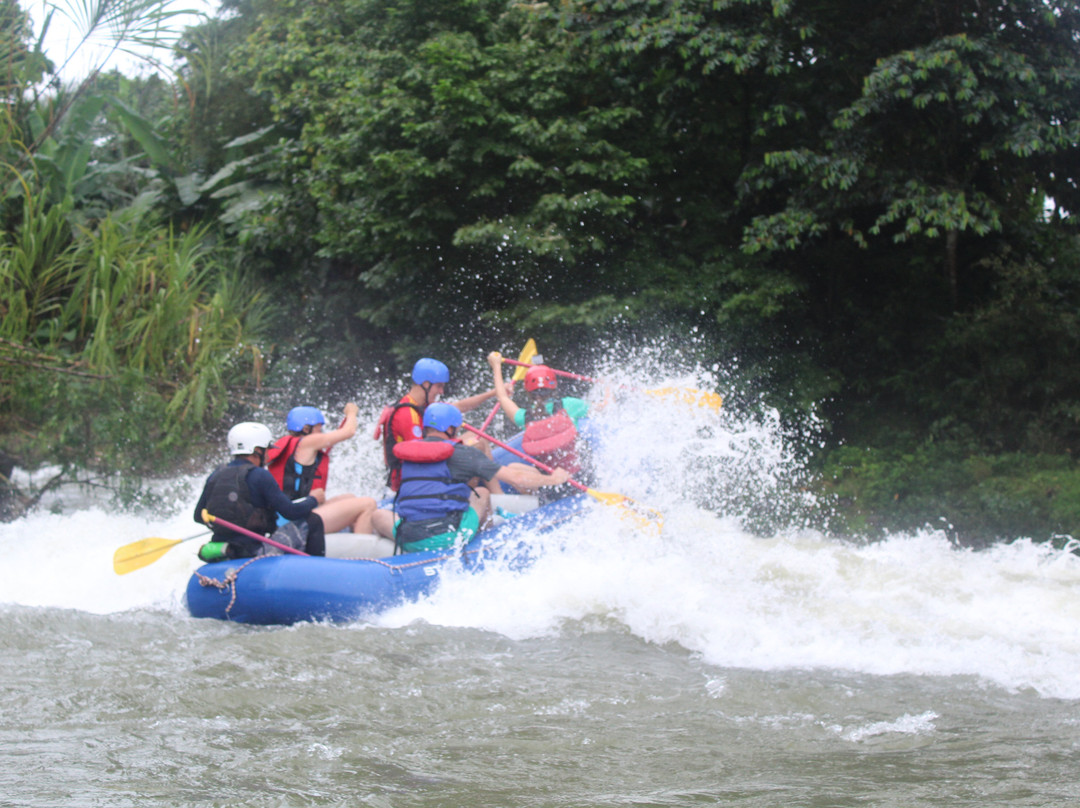 Green Rivers Rafting & Kayaking Company-Puerto Viejo de Sarapiqui必去景点