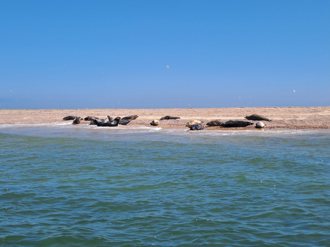 Ptarmigan Blakeney Point Seal Trips-布莱克尼必去景点