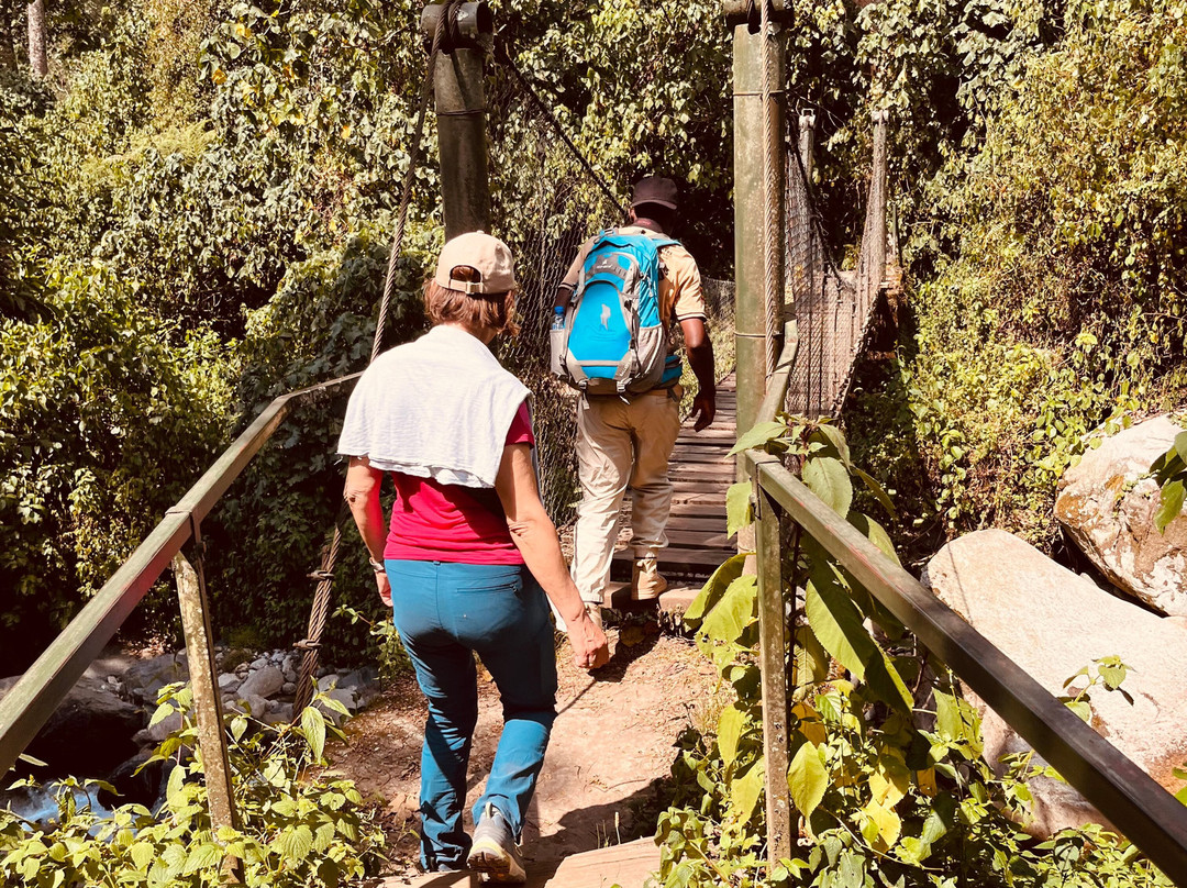 Rwenzori Lobelia Travels-Nyakalengija必去景点