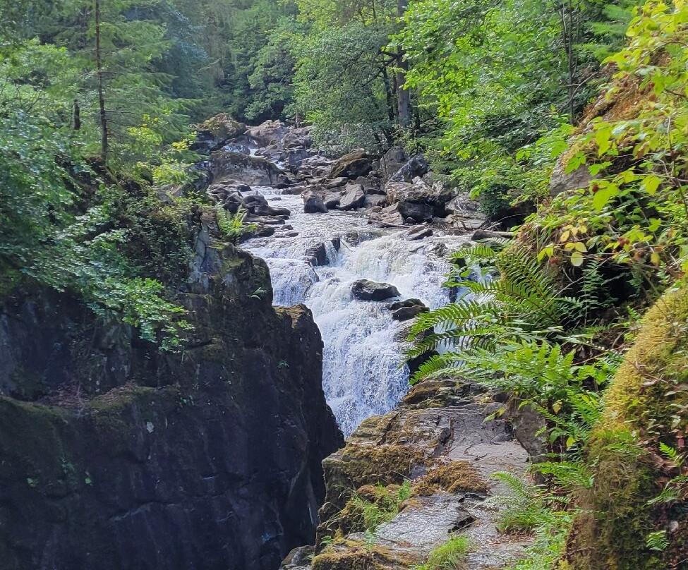 The Hermitage-Dunkeld必去景点