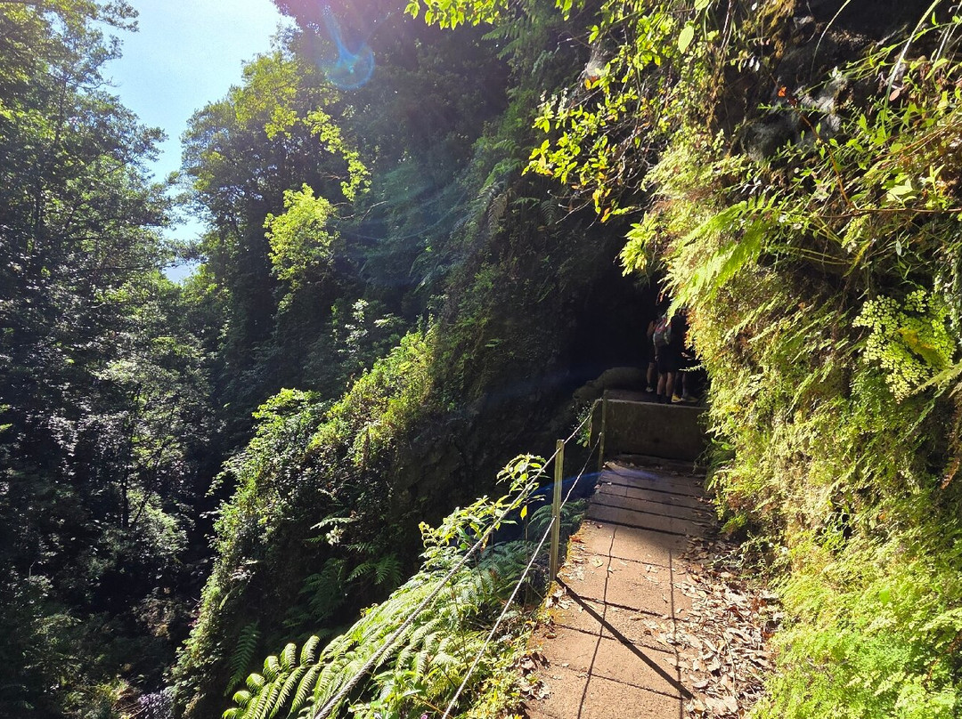 PR16 Levada Fajã do Rodrigues-Sao Vicente必去景点