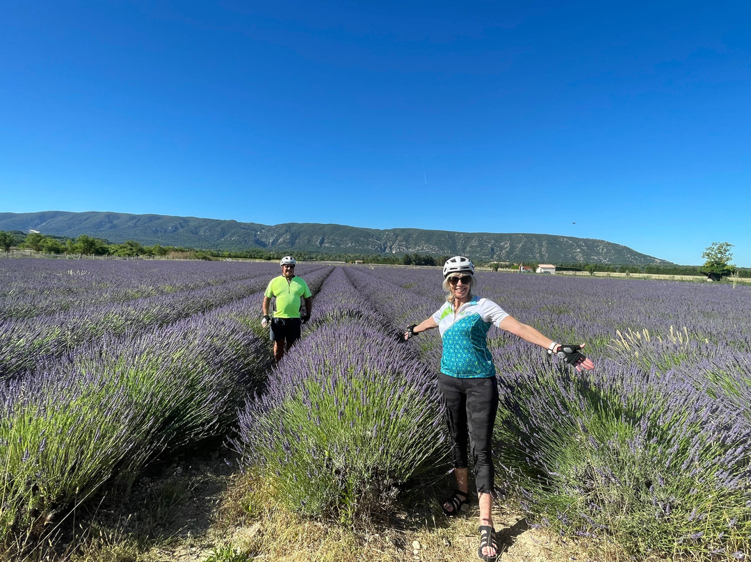 Provence Cycling Holidays主图