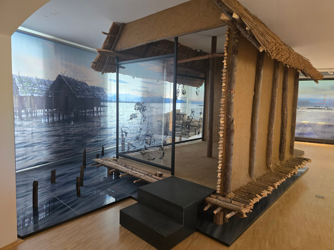 Archaeologisches Landesmuseum Baden-Wuerttemberg-康士坦茨必去景点