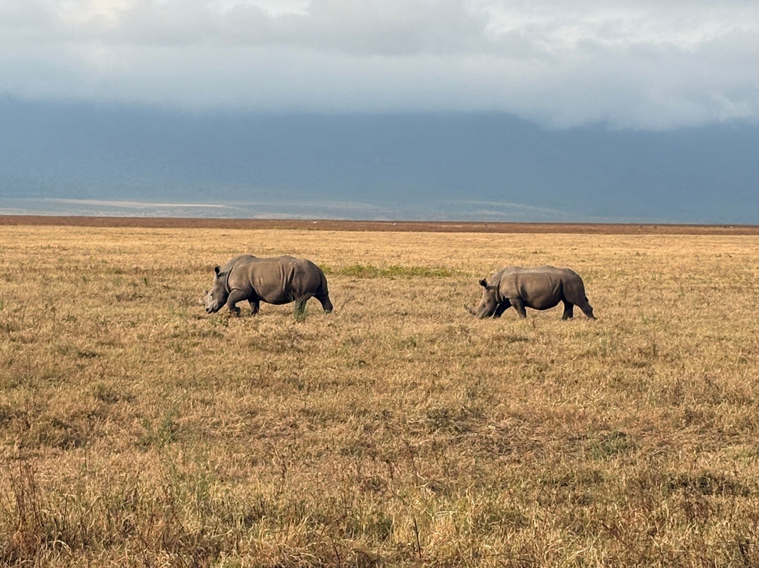 Wild Whispers Africa-马辛迪必去景点
