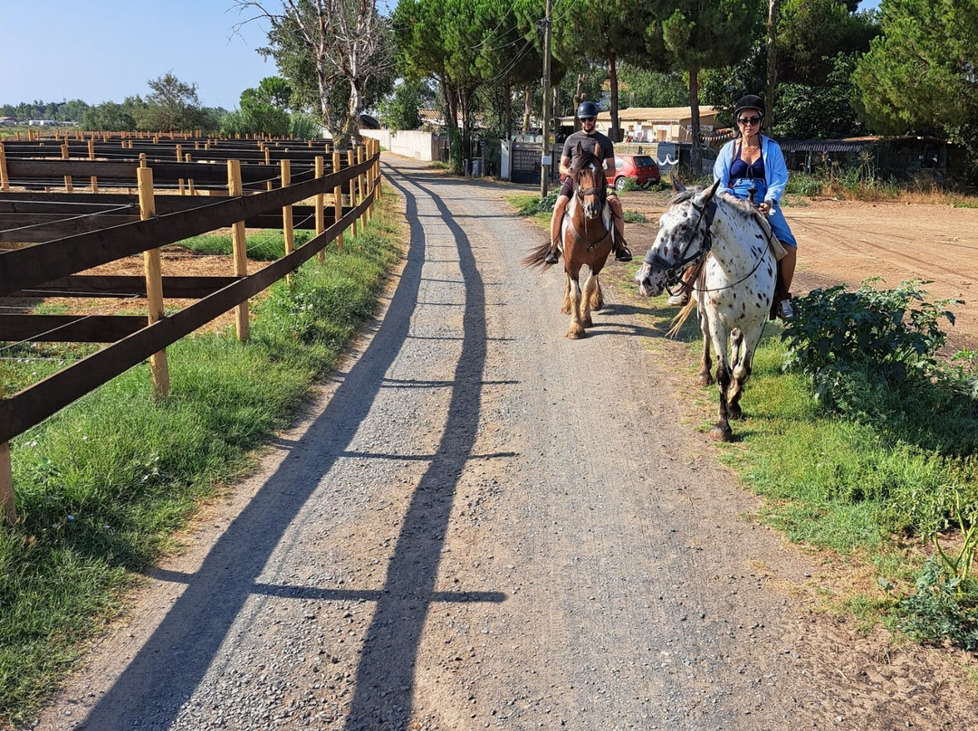Ranch La Camargue-Marseillan Plage必去景点