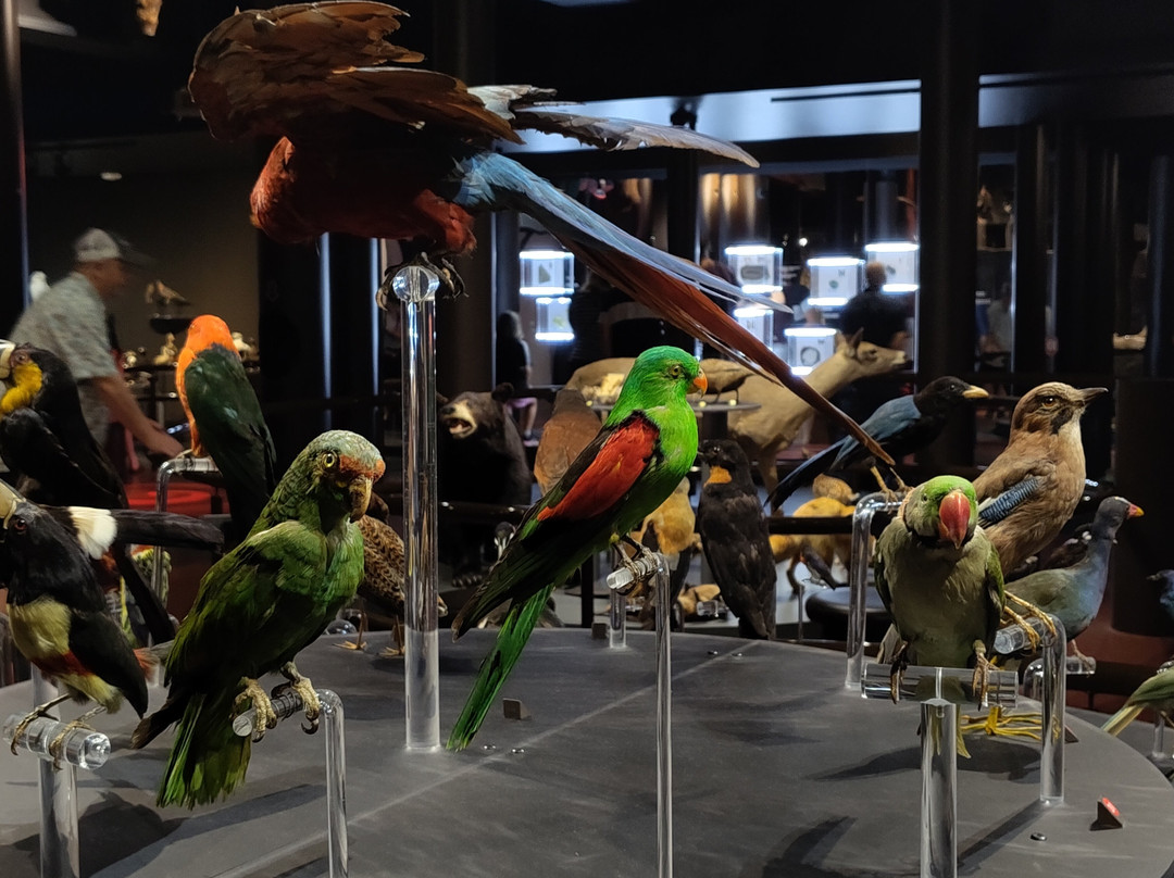 Musee de la nature et des sciences-舍布鲁克必去景点