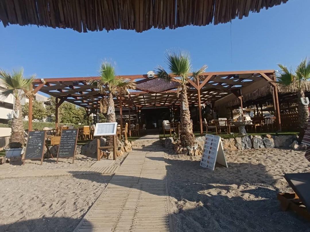 Nalu Beach Bar