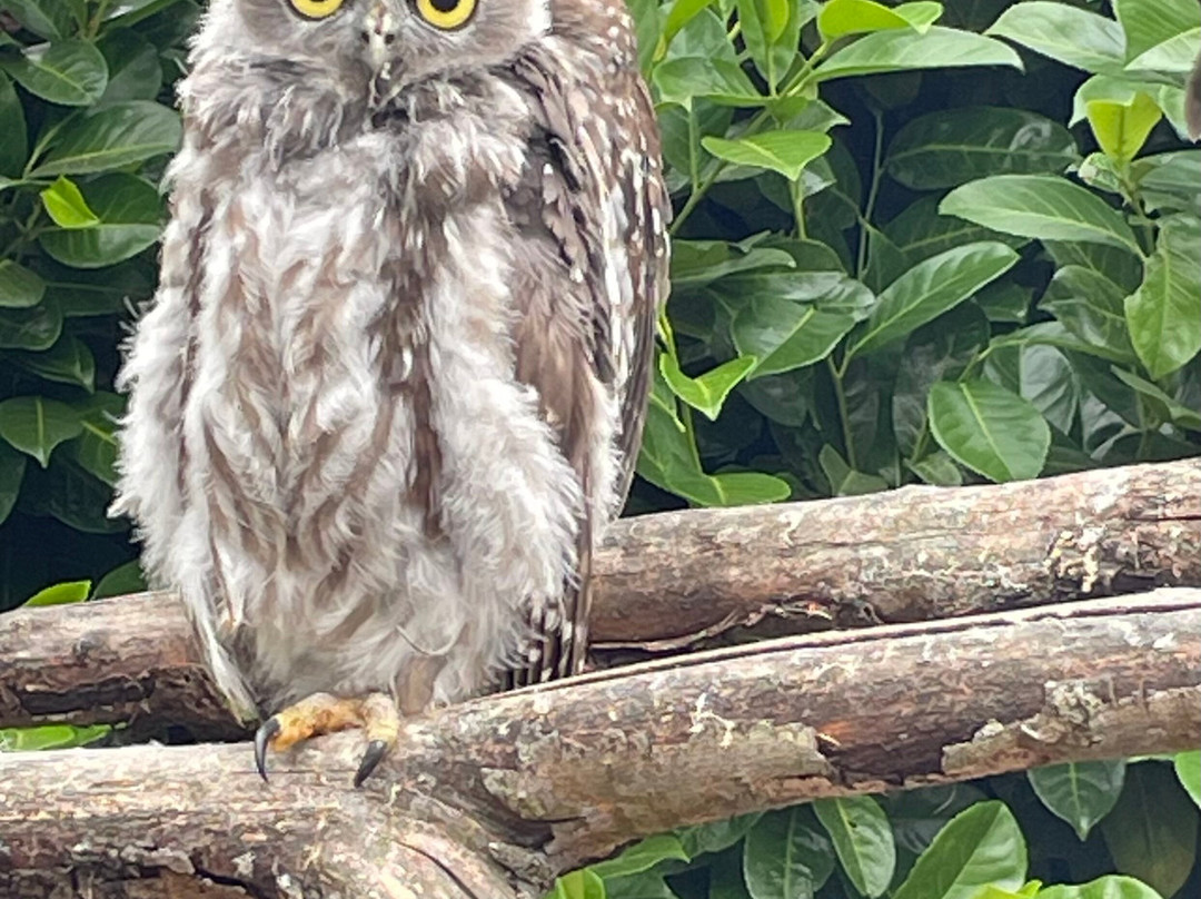 Hamerton Zoo Park-Sawtry必去景点