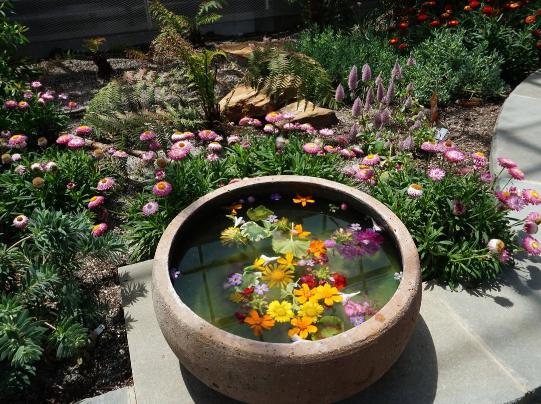 Lewis Ginter Botanical Garden-里士满必去景点