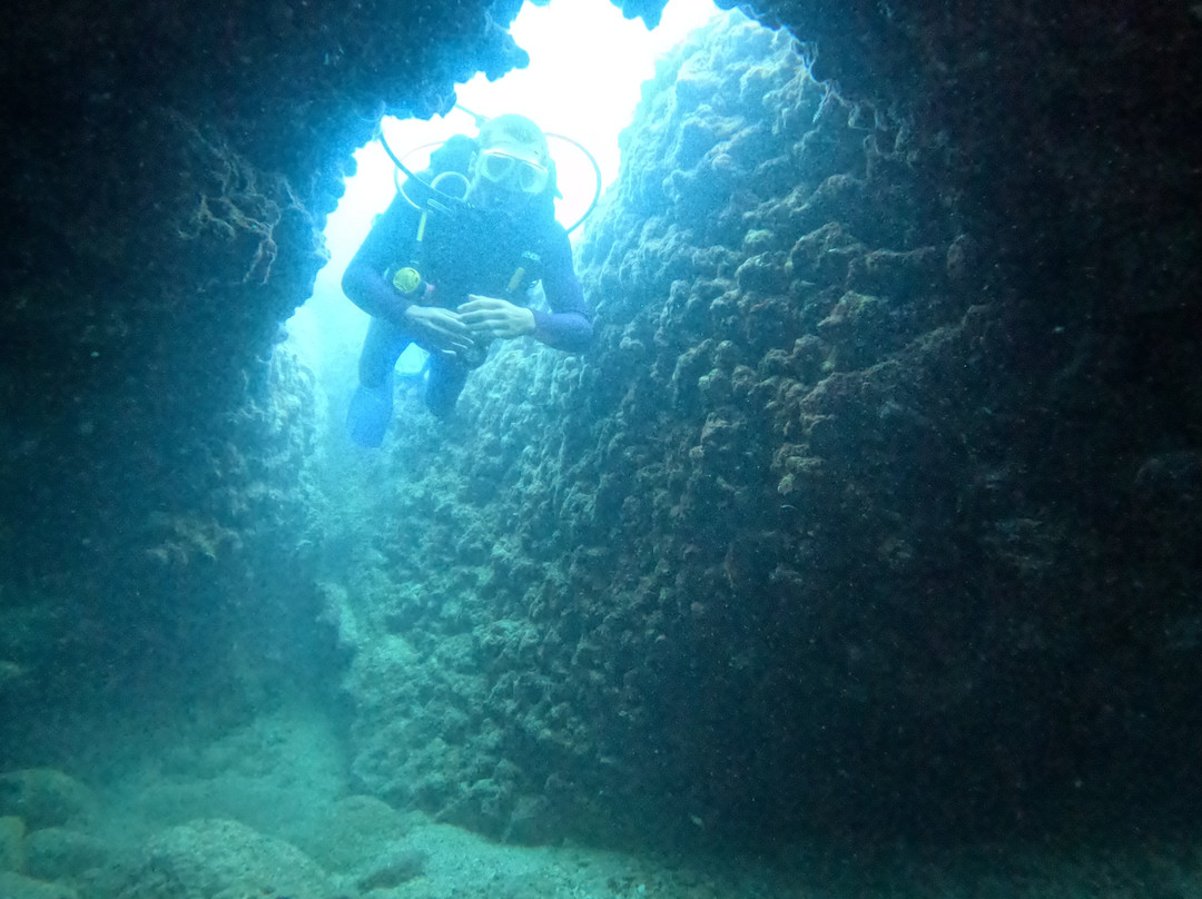 Octopus Diving Center-凯梅尔必去景点